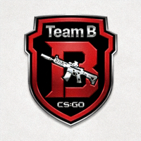 CS:GO战队Team B标志